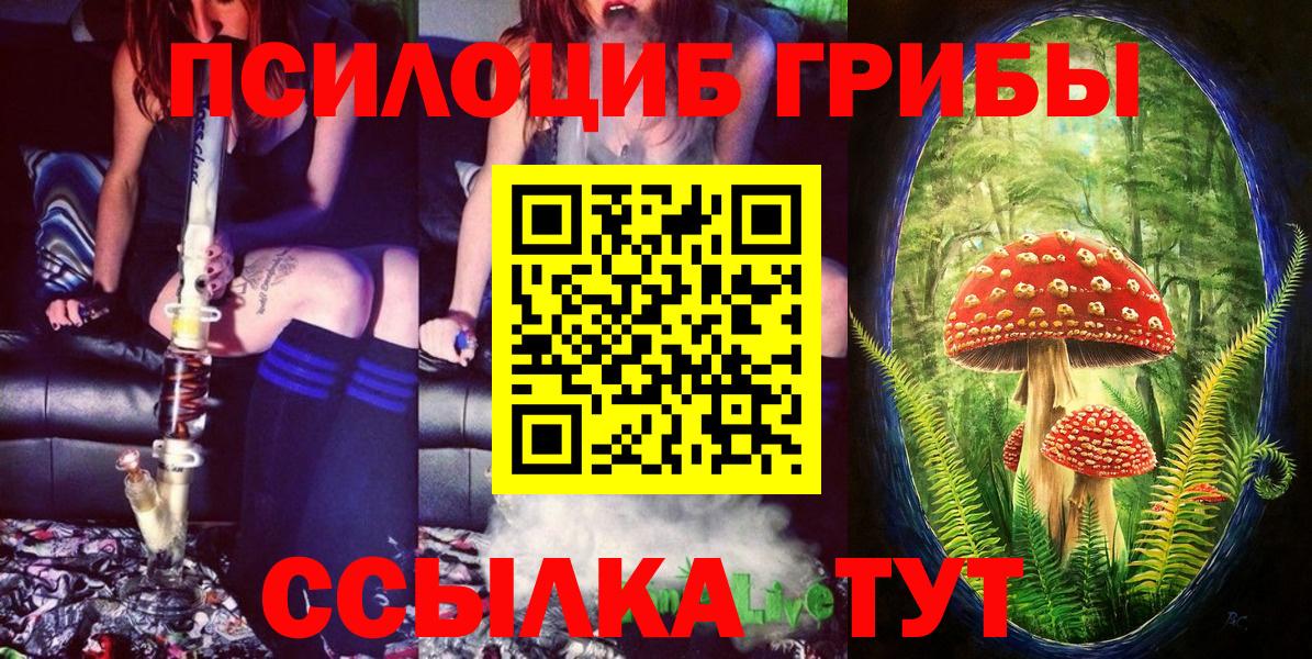Псилоцибиновые грибы Cubensis Мытищи