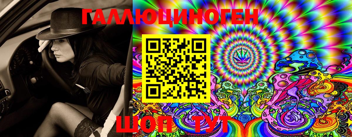 Мытищи  Псилоцибиновые грибы GOLDEN TEACHER  Галлюциногенные грибы Psilocybine cubensis  Вход с VPN 